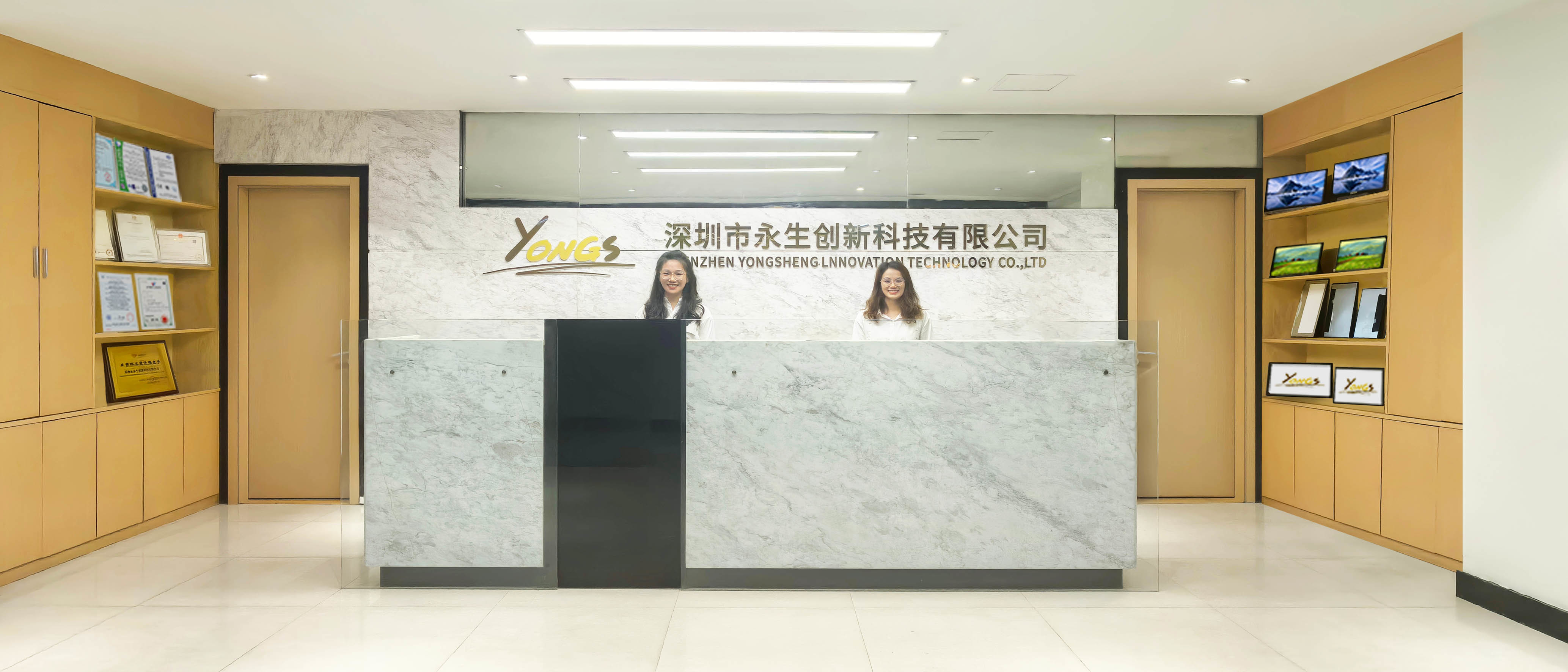 Porcelana Shenzhen Yongsheng Innovation Technology Co., Ltd Perfil de la compañía