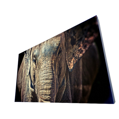 Soporte planar de la pared del panel LCD LD550DUN-THB6 para la pared video