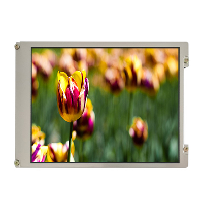 Pantalla de pantalla de LCD NL8060BC21-11KG