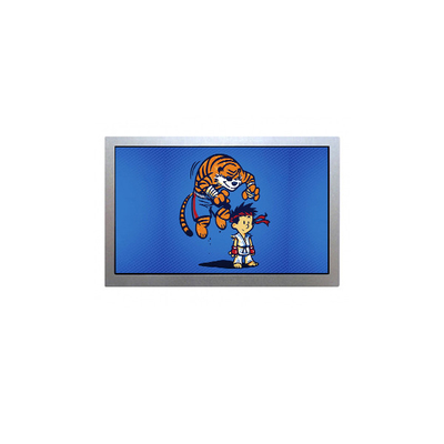 AA150XN07 Pantalla LCD TFT industrial de 15,0 pulgadas 1024*768 Modulo de pantalla LCD