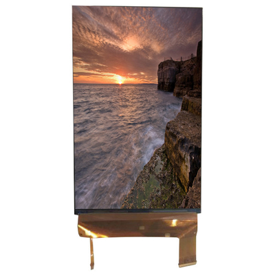 LQ070M1SX01 7.0 pulgadas Pantalla 1200*1920 Pantalla LCD 71 pines