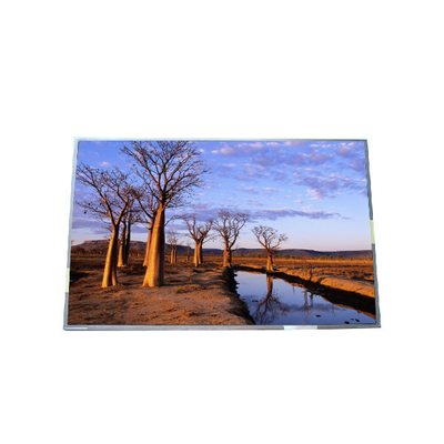 Panel de LCD TFT RGB 1440*900 B170PW03 V9 99PPI