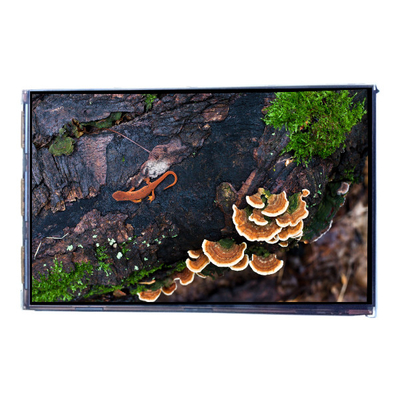 Panel de visualización de pantalla LCD de 7.0 pulgadas 450 cd/m2
