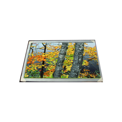 LC200WX1-SL01 20,0 pulgadas 1366*768 Pantalla LCD