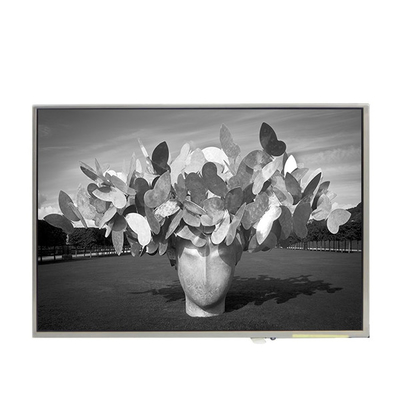LTD121EDKP 10,4 pulgadas 262K 1024 * 768 pantalla LCD