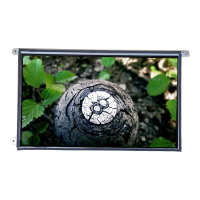 LTM09C362A Panel de pantalla TFT-LCD de 8,9 pulgadas 1024*600