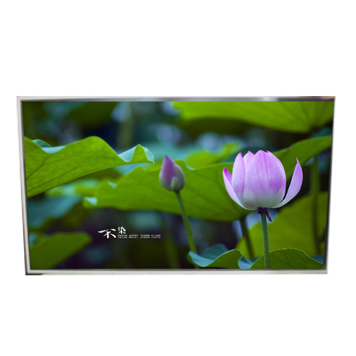 49.0 pulgadas LD490EPN-UKH1 panel de pantalla LCD 1920*1080