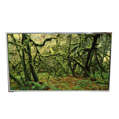 LD490EPY-SHP1 51 pines 1920*1080 Pantalla LCD de 60 Hz para señalización digital