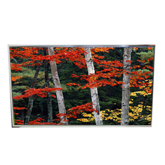 LD980DQL-SMA1 98.0 pulgadas LCD original 3840*2160 Pantalla LCD