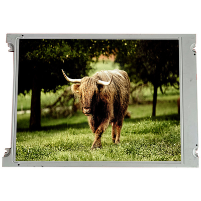 LMG6411PLGE 5.4 pulgadas 240*128 pantalla de pantalla de LCD para el sector industrial