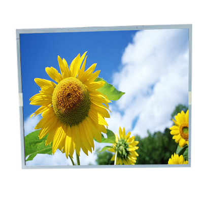 LM190E0A-SLE1 19.0 pulgadas 1280*1024 Panel de pantalla LCD industrial