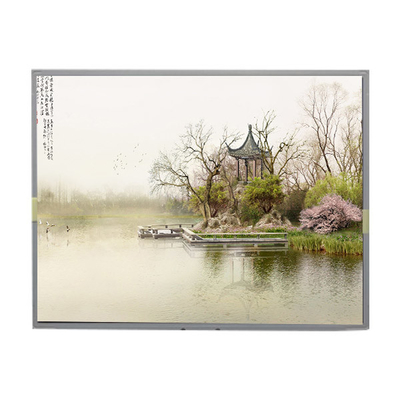 LM201W01-A6K1 20,1 pulgadas 1680*1050 Panel de pantalla LCD