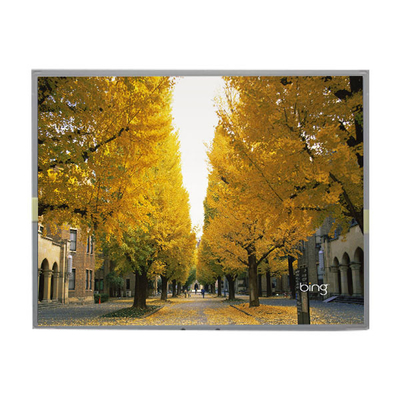 LM2013-WETLB1 Pantalla LCD de 20,1 pulgadas 1680*1050 Pantalla LCD