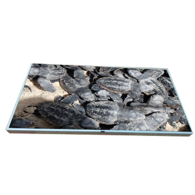 LM215WF2-SLA1 Original en stock 21.5 pulgadas pantalla LCD