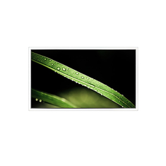 3840*2160 65 pulgadas DV650QUM-NV0 500 cd/m2 Pantalla LCD para pared de vídeo