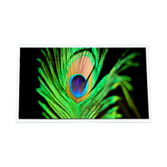1920*1080 G238HCJ-LH1 de 23,8 pulgadas 1000 cd/m2 Pantalla LCD LVDS