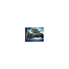 PD104SL3 800*600 10,4 pulgadas LVDS Pantalla de pantalla LCD