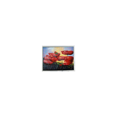 Venta caliente 6.5 pulgadas 640*480 T-55629D065J-LW-A-ABN Pantalla de pantalla LCD