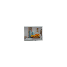 10.4 pulgadas de panel LCD TCG104SVLQ*PNN-AN*55 800*600 Interfaz LVDS
