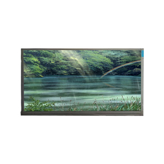 SJ050NA-08A 640*480 262K pantalla LCD para teléfono VOIP