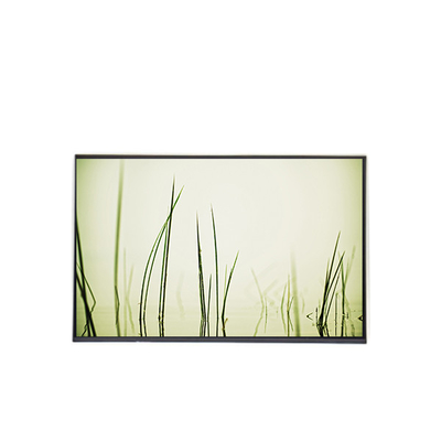 B160ZAN01.R LCD Panel de pantalla de portátil de 16,0 pulgadas de reemplazo