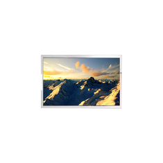 MV240QDM-N20 Pantalla de pantalla LCD de 24 pulgadas