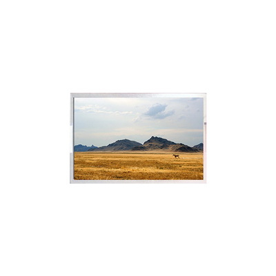 TFT7D0906-A Pantalla de pantalla LCD 6.3 pulgadas Panel de módulo LCD