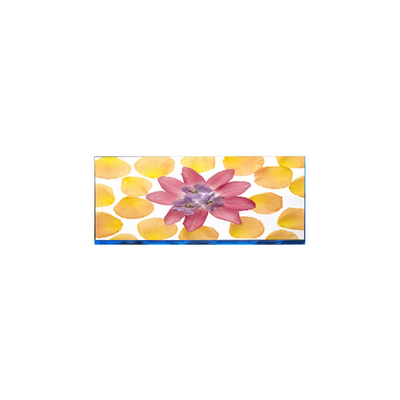 E102AWF6 R1 10,2 pulgadas 1920 * 532 pantalla LCD