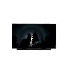 NT173WDM-N15 Panel de pantalla de celda LCD de 1600*900 de 17,3 pulgadas para ordenador portátil