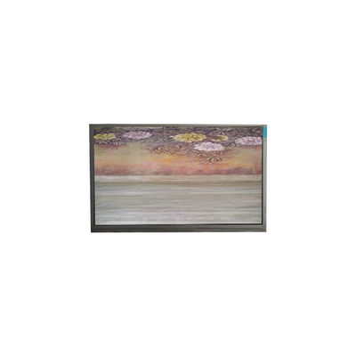 6.1 pulgadas Panel TFT LCD U061SWR6-0 panel de visualización de pantalla de LCD