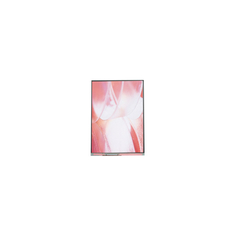 12.1 pulgadas LS121K1LX02 1280*800 Panel de pantalla LCD