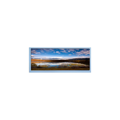 M102AWF2 R2 10.3 pulgadas 1920 * 720 Pantalla de pantalla LCD
