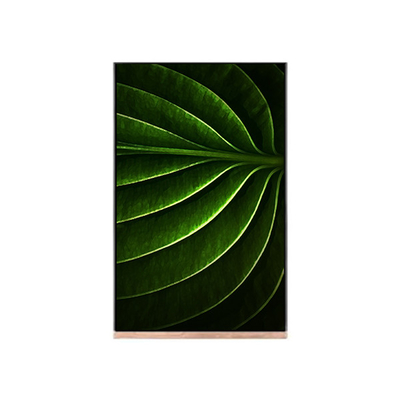 Pantalla LCD de 10,1 pulgadas para el módulo LCD NV101WUM-N53