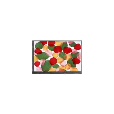 E080AWAA R1 panel LCD de 8,0 pulgadas para pantalla de automóviles