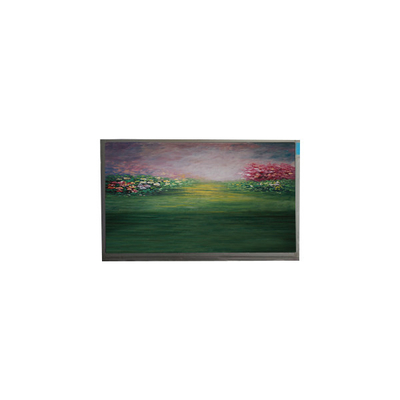 Pantalla LCD para el módulo LCD R133NWF4 RB de 13,3 pulgadas