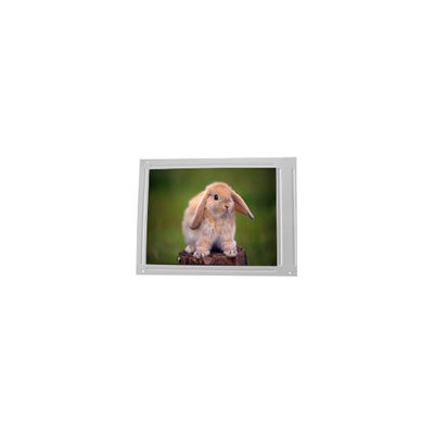 F055A25-604 Panel de pantalla LCD de 5,5 pulgadas 720*1440