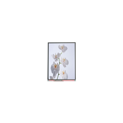 C060SWR6-1 6.0 pulgadas 720*1528 Panel de pantalla LCD