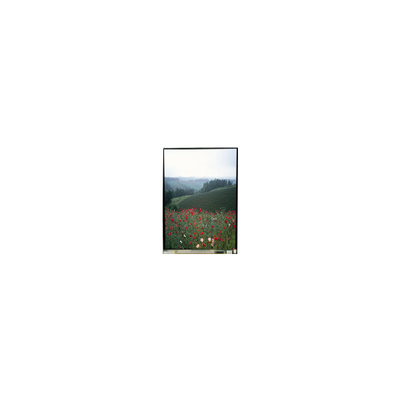 5.5 pulgadas LS055B1SX01B Panel LCD con toque para teléfono móvil