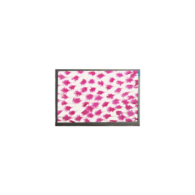 9.0 pulgadas 800*480 pantalla LCD E090SWP1 panel R2 LCD