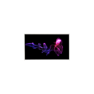 1024*600 TT070WSQ-N13 Panel LCD TFT de 7,0 pulgadas