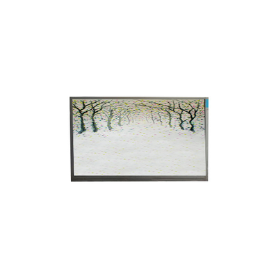 R125NWR3 R3 módulo LCD de 12,5 pulgadas 1366*768 pantalla LCD