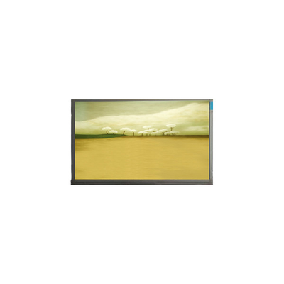 21.5 pulgadas M215HJK-L3B Panel de pantalla LCD 1920*1080 Pantalla LCD