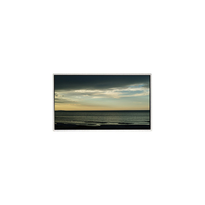 Panel LCD TT101WSB-NW0 10.1 pulgadas 1024 * 600 pantalla LCD