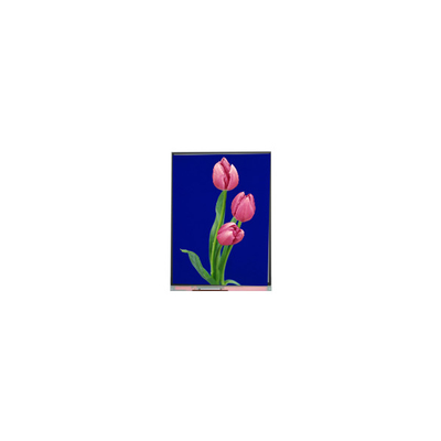 C055SWF4 R0 módulo LCD de 5,5 pulgadas pantalla TFT LCD