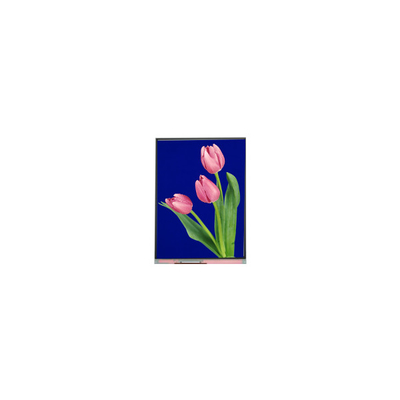 Nueva pantalla LCD de 5.4 pulgadas C054SWZ4-1 540*960