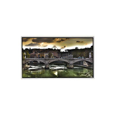 Monitores de LCD de 23.6 pulgadas HM236WU3-110 1920*1080 Pantalla de pantalla LCD TFT