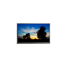 M101NWT2 R4 10,1 pulgadas 1024 * 600 pantalla LCD para PC de computadora