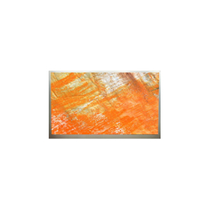 M215H1-P01 1920*1080 Pantalla LCD de 21,5 pulgadas para monitor de escritorio
