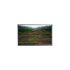 P236MWF1 R0 23.6 pulgadas 1920*1080 Panel LCD Módulo LVDS