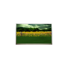 15.6 pulgadas N156B3-L01 1366*768 pantalla LCD de 60Hz en stock